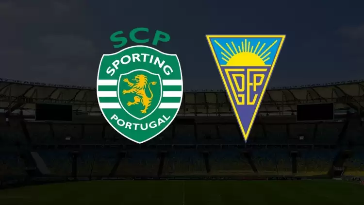 Portuguese Primera Liga,Sporting CP VS Estoril,Prediction,camel.live